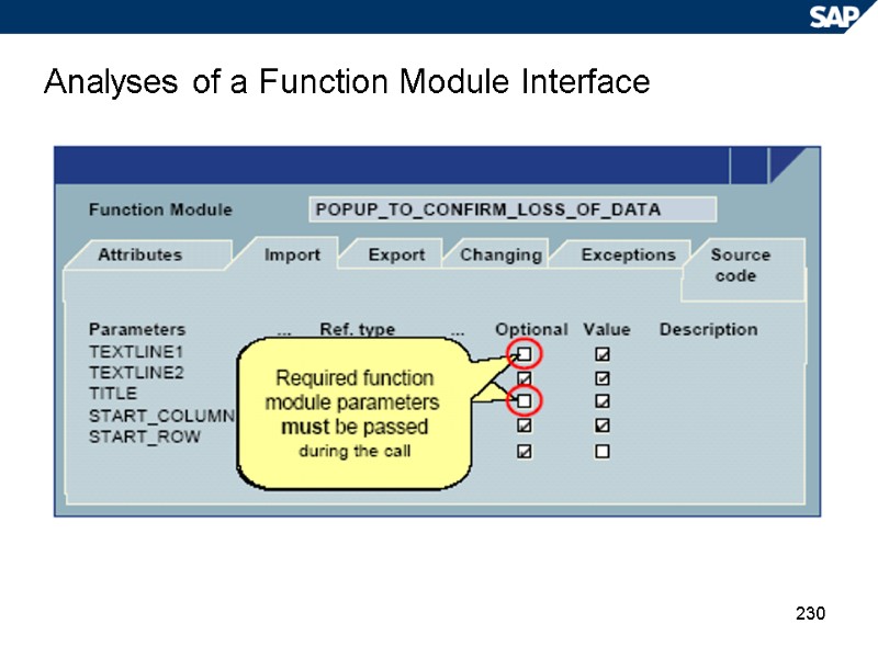 230 Analyses of a Function Module Interface